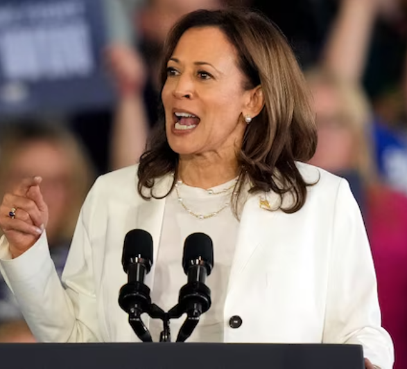 Beyond just becoming Trump's rival, Kamala Harris has made a number of fundamental campaign pledges