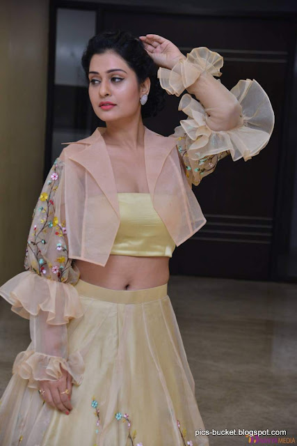 Actress payal rajput hot images