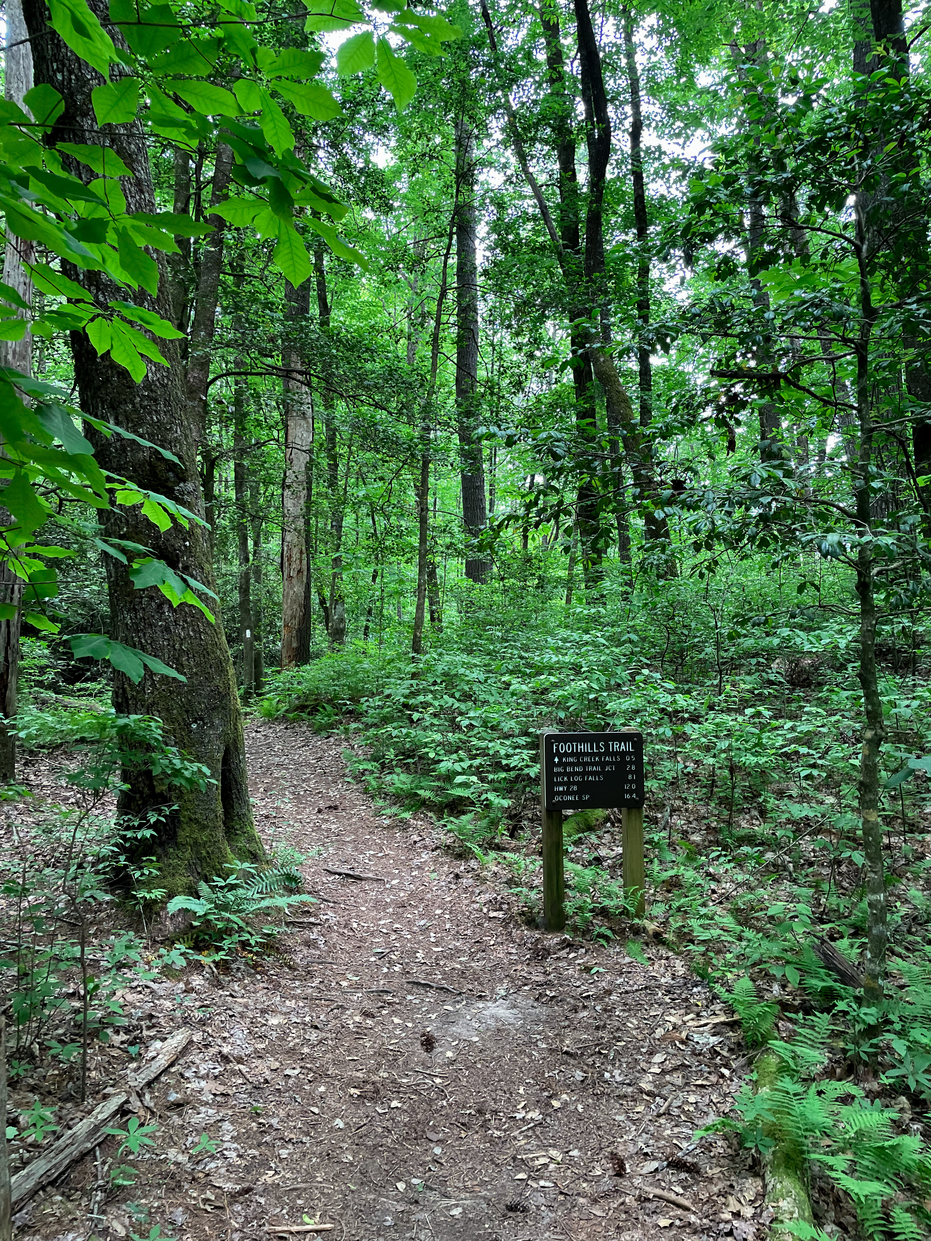 King Creek Falls Trail, SC
