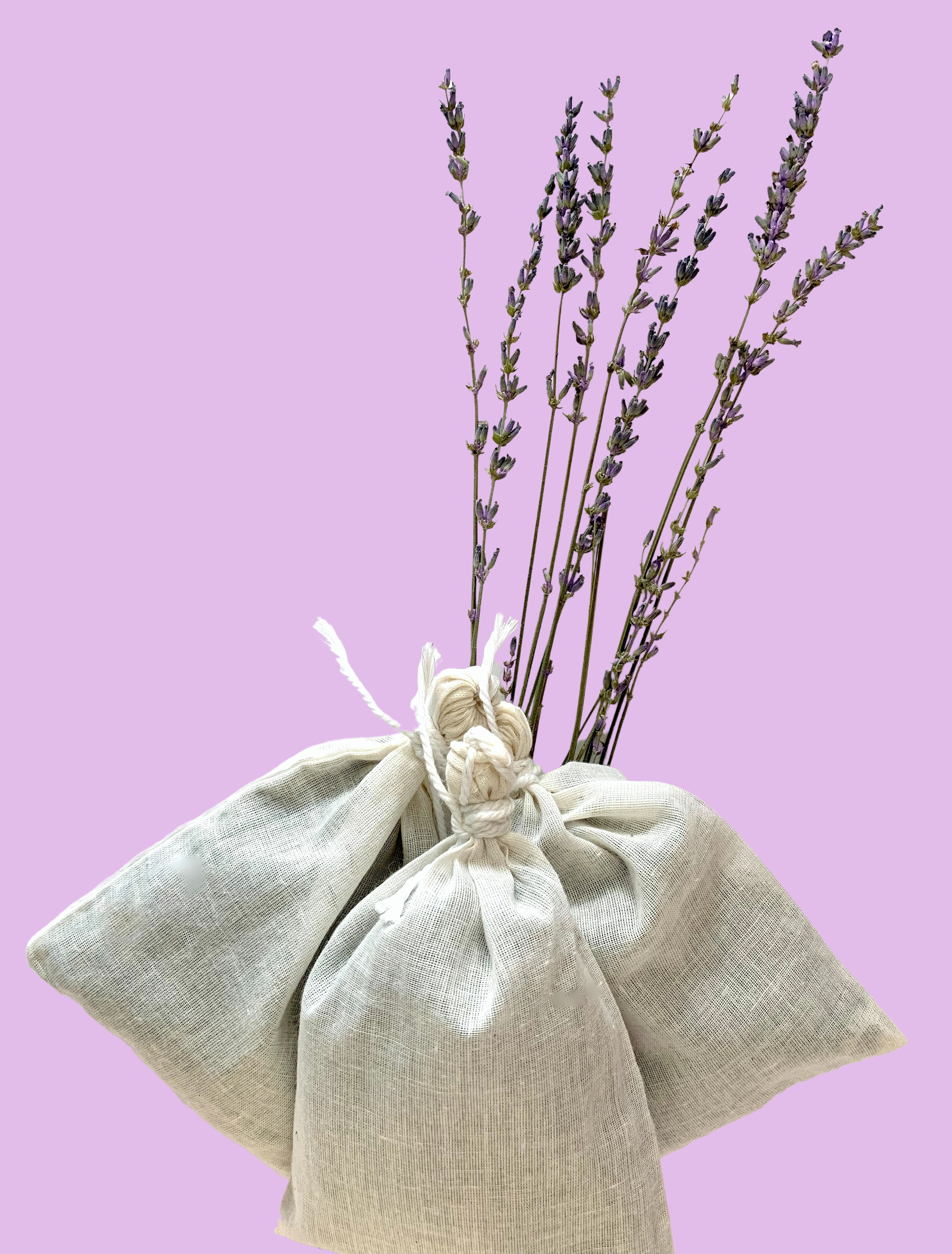 Purple Hues and Me: DIY Lavender Bags A Fresh Alternative