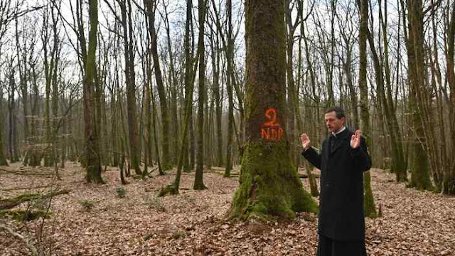 O Pe. Martin Bonnassieux abençoa o bosque onde os lenhadores abaterão os carvalhos para Notre Dame