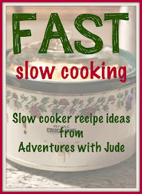 Fast Slow Cooking - slow cooker recipe ideas