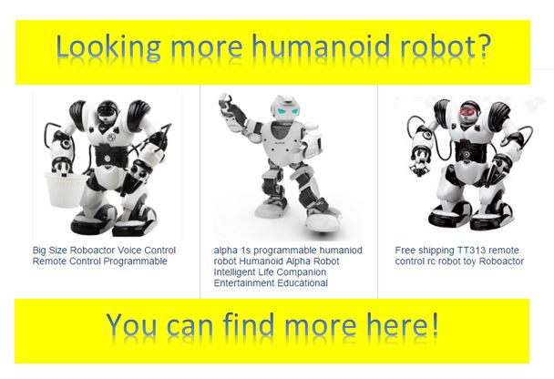 Humanoid Robot 