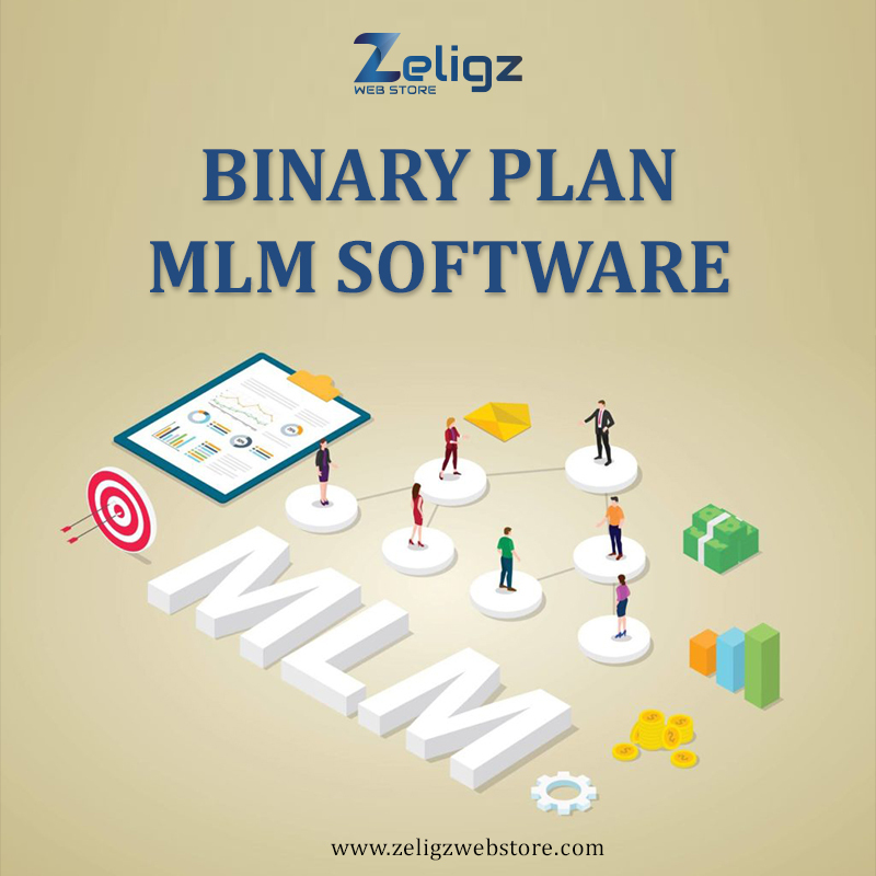 Binary MLM Software