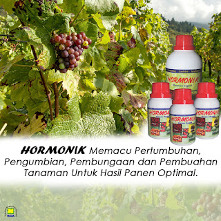 cara pemakaian hormonik