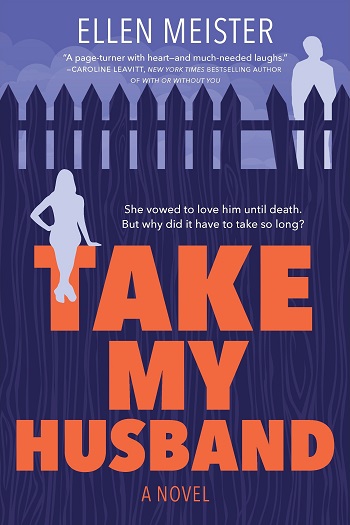 Take My Husband by Ellen Meister