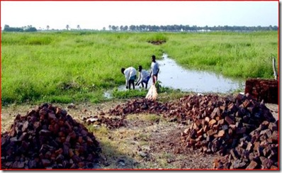 Malakal brick 