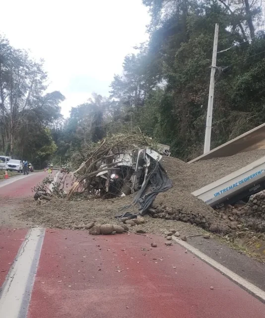 Accidente de tránsito en Ruta T-39 en la comuna de Los Lagos