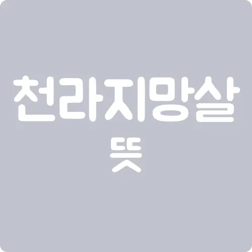 천라지망살 뜻