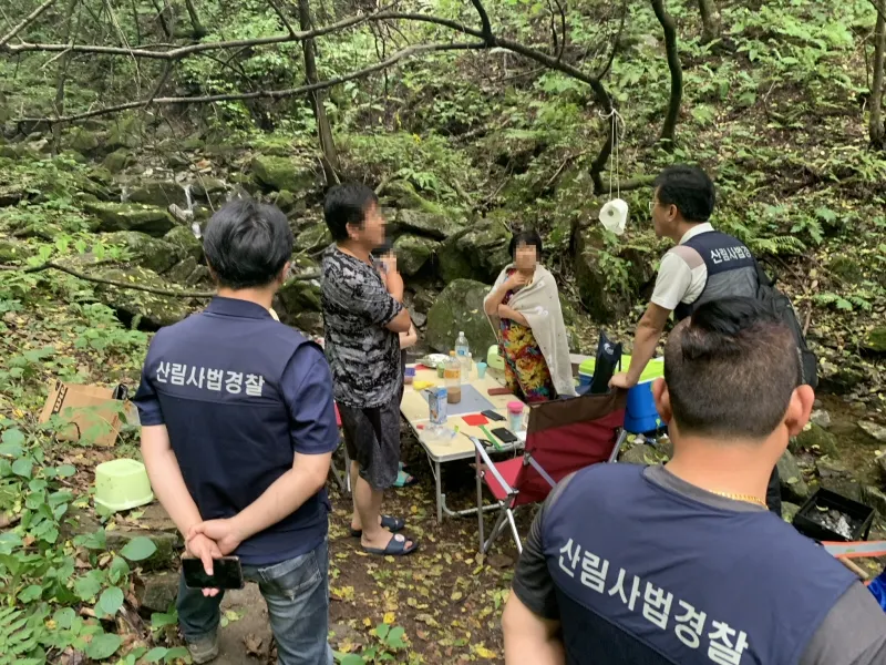 산림청, 여름철 산간계곡 내 위법행위 현장 집중 단속