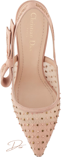 ♦Nude Dior J'Adior tulle slingback pumps with thread and pearl embroidery #dior #shoes #brilliantluxury