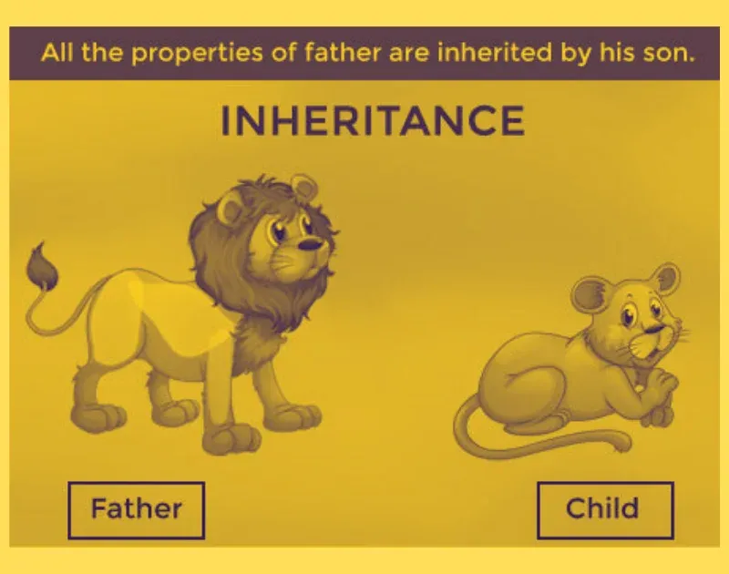 Inheritance in Java