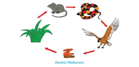 tema 5 kelas 5 subtema 2 pembelajaran 1