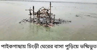 ছবি