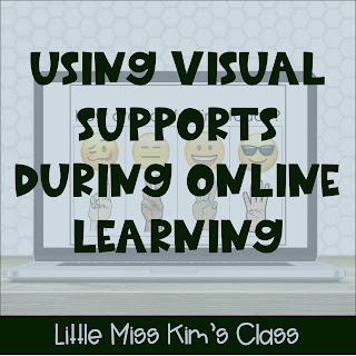 Visual Supports During Online Learning in Special Education