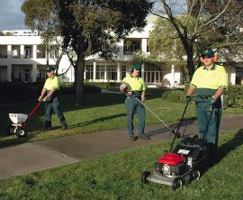 Garden Care Service Glen Iris