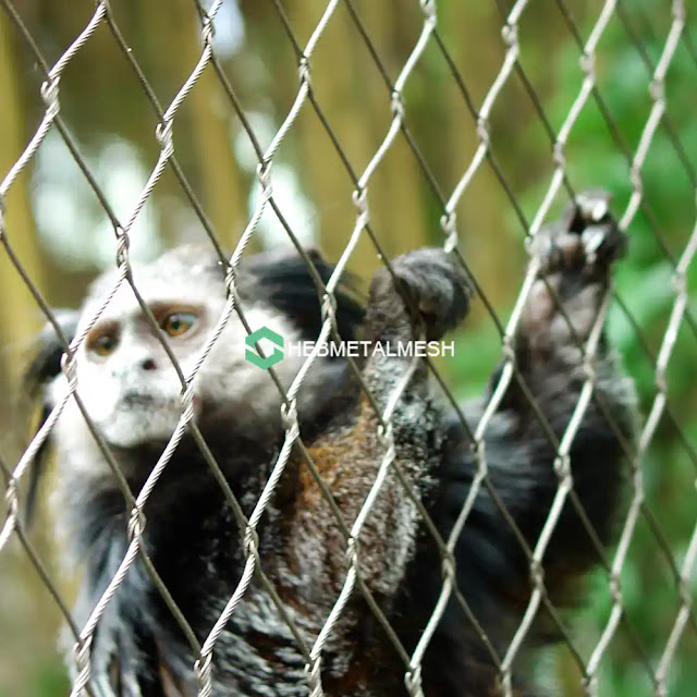 Netting for Monkey – Keep Your Monkey Safe with Stainless Steel Rope Mesh Netting