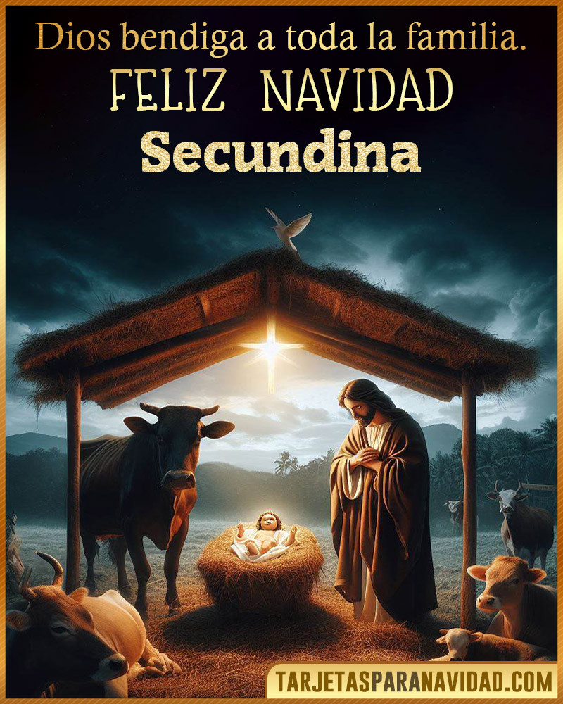 Feliz Navidad Secundina