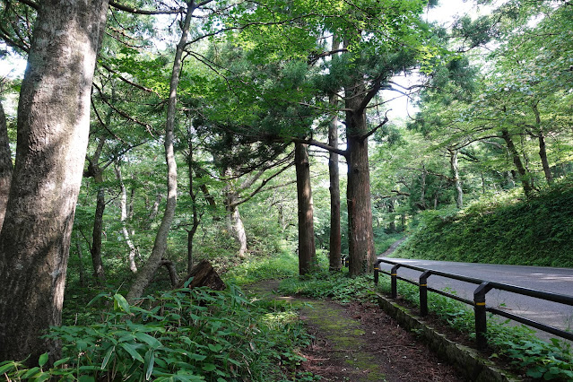 大山寺周辺の大山環状道路