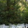 Elegant Outdoor Table Settings : Chic Wedding Inspiration at The Narrows Landing - nouba ... : Check out these easy everyday table settings.