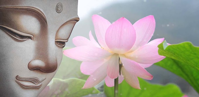 Kinh dieu phap lien hoa, noi dung, y nghia, phan tich chi tiet. Dao Phat Blog