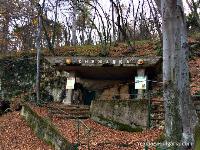 Cuava Snezhanka Bulgaria