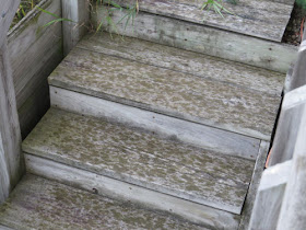 rain on steps