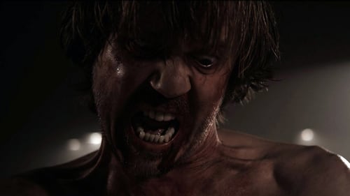 A Serbian Film 2010 gratuit