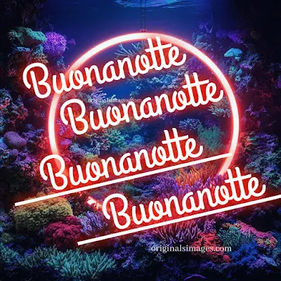 pietra bianca buonanotte originalissima