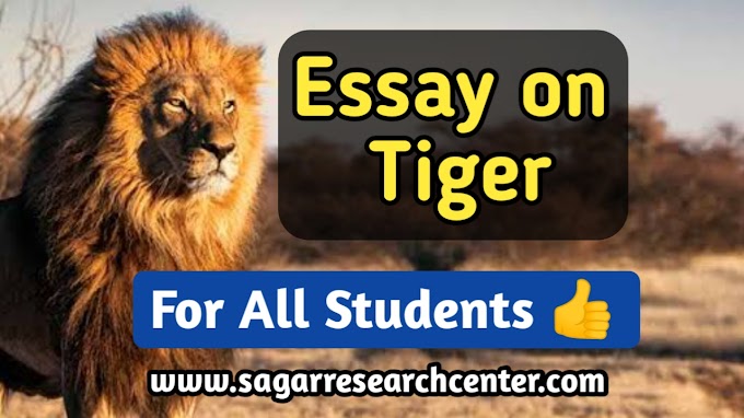 Essay on Lion for All Students in English 2024 | बाघ पर निबंध/लेख लिखे - Sagar Research Center 