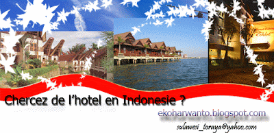 Cherchez les listes de l'Hotel en Indonesie ??