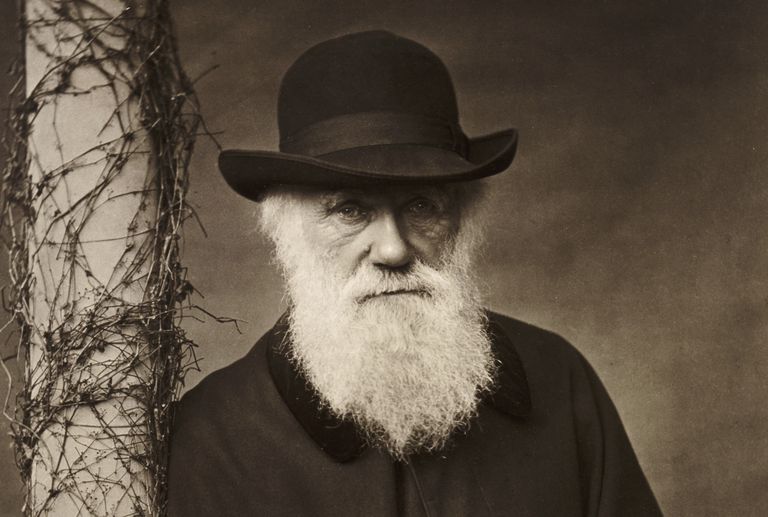 Charles Darwin, dari Hobi Mengumpulkan Serangga Menjadi Ilmuwan