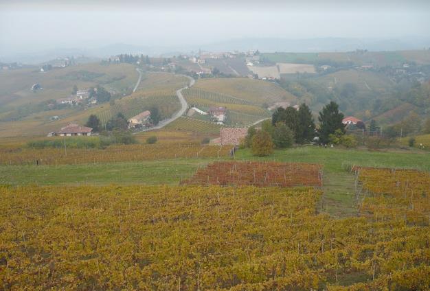 Langhe