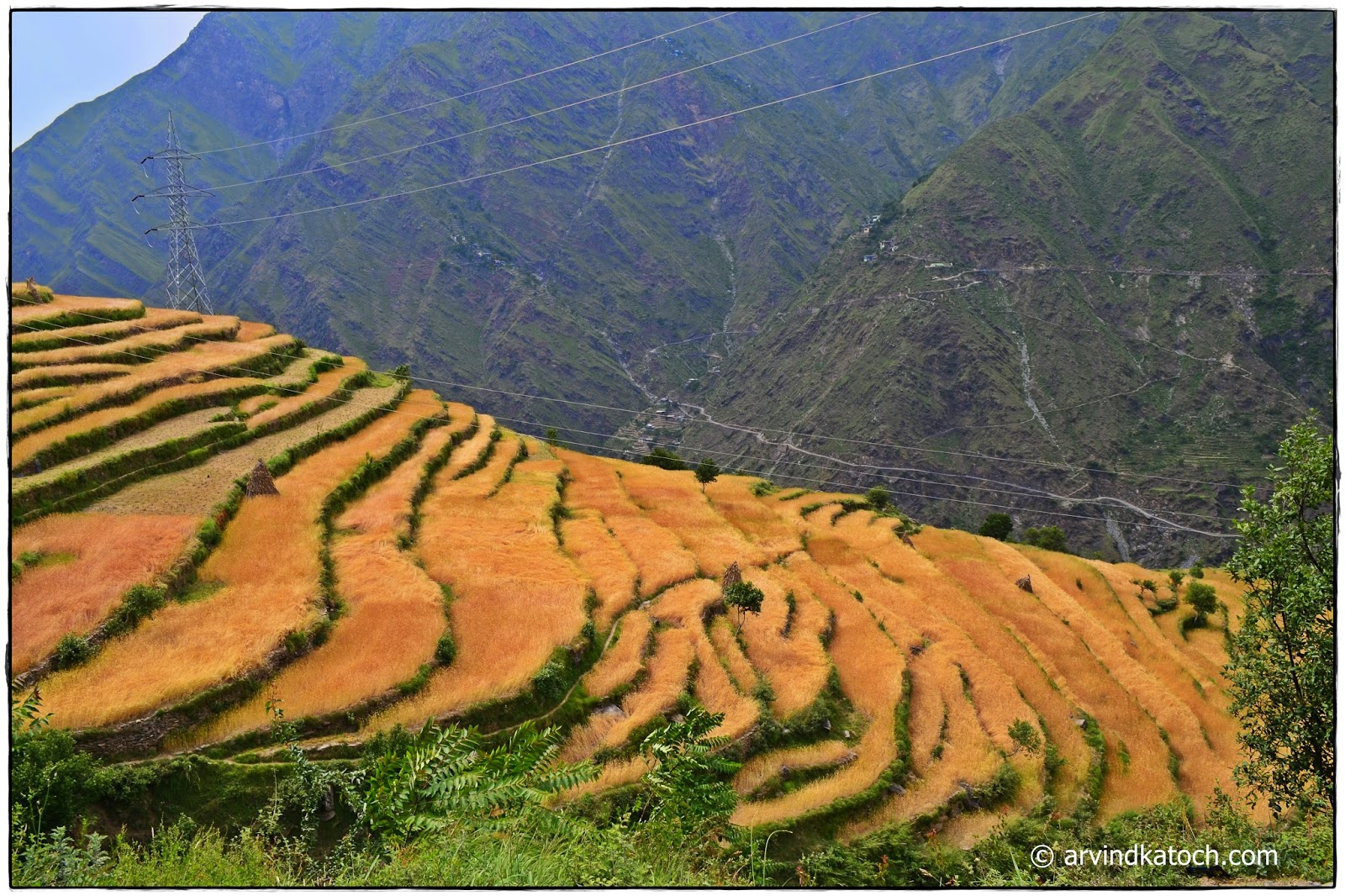 Step Fields, Fields, Hills, Chamba, Himachal, Chhatrari