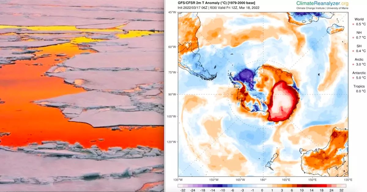 Record-Breaking Heatwaves In Antarctica And The Arctic Amid Report About Climate Disaster