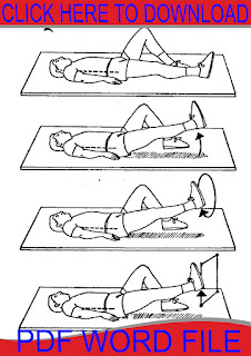 Lower Back Exercises