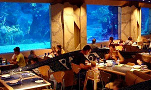 coralreefrestaurant