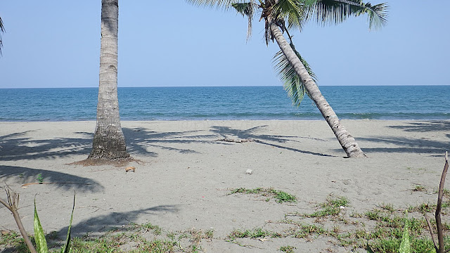 the beach in an unmanned resort in MacArthur Leyte