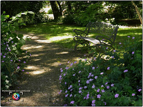 GELAUCOURT (54) - Jardin d'eau de l'Aubepré