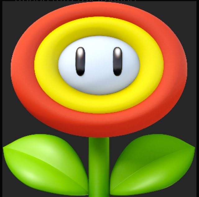 Το fire flower το mushroom και το star στο super Mario