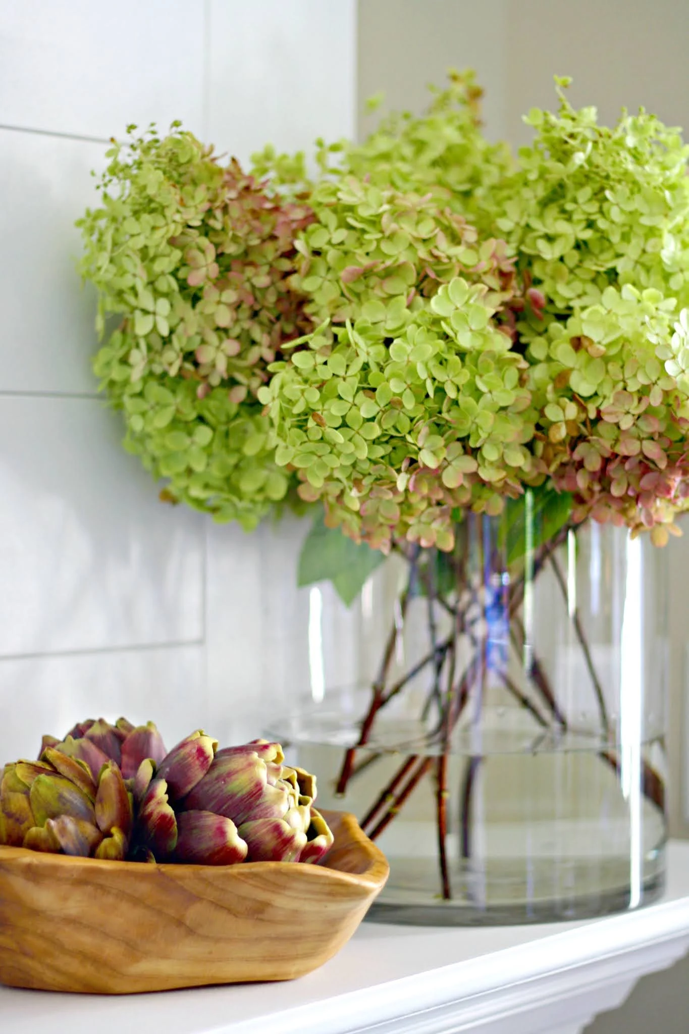 fall limelight hydrangeas