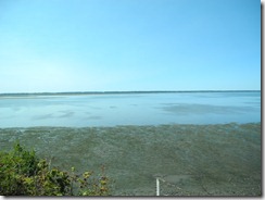 DSCN0976