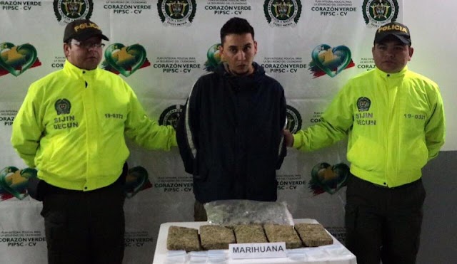 3 mil dosis de marihuana cayeron en operativo realizado en Chía