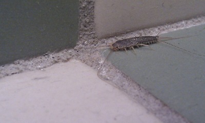 IMAG0119
