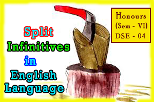 Split infinitives in the English language: importance and function