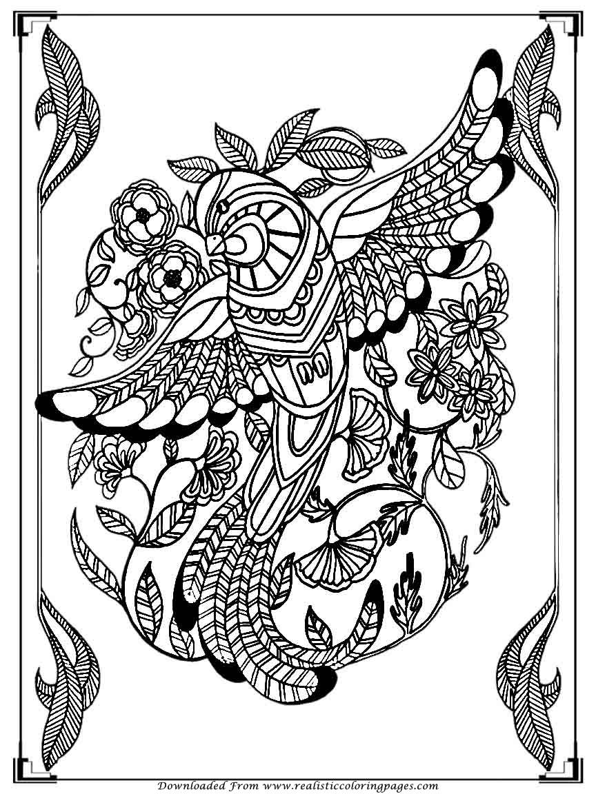 Download Printable Birds Coloring Pages For Adults | Realistic Coloring Pages