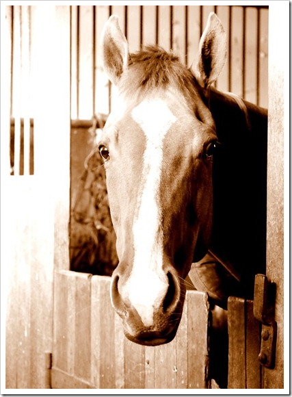 28 March 1 27-03-2012 07-51-40 2704x3724