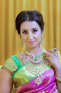 Actress Sanjjanaa Galrani In Traditional Saree Stills