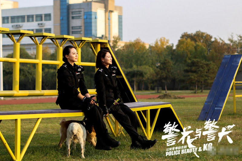 Police Beauty and K9 China Drama