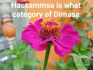 Hassammsa-is-what-category-of-dimasa